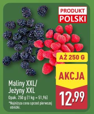 Maliny XXL/Jeżyny XXL