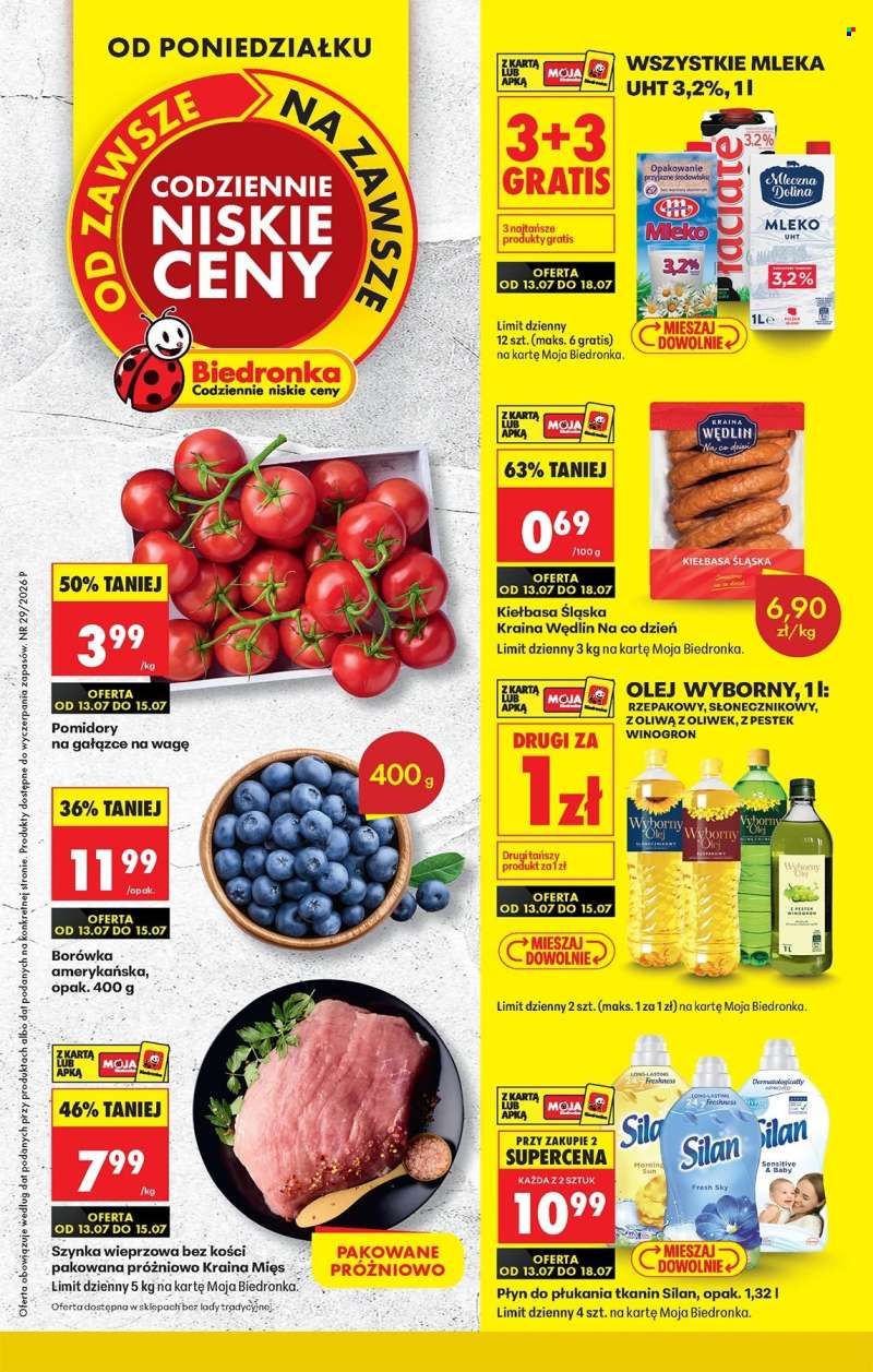 Gazetka Biedronka - 13.07.2026 - 18.07.2026.