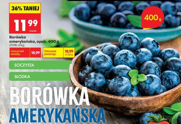 Borówka amerykańska, opak. 400 g