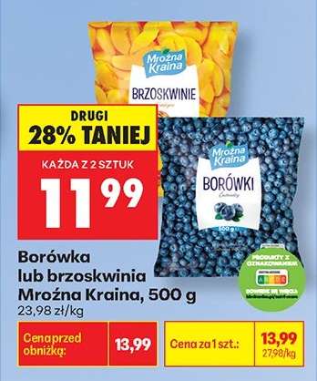 Borówka lub brzoskwinia Mroźna Kraina, 500 g