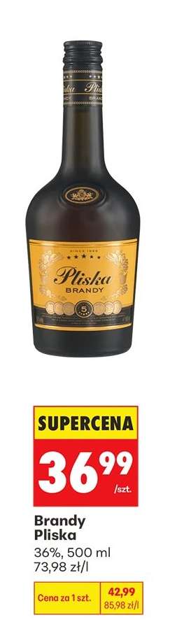Brandy Pliska
