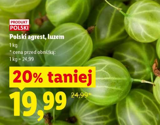 Polski agrest, luzem