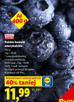 Polskie borówki amerykańskie