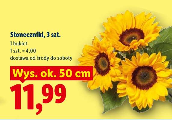 Słoneczniki, 3 szt.