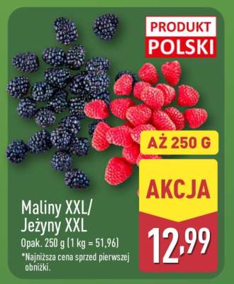 Maliny XXL/Jeżyny XXL