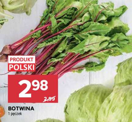 Botwina