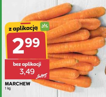 Marchew