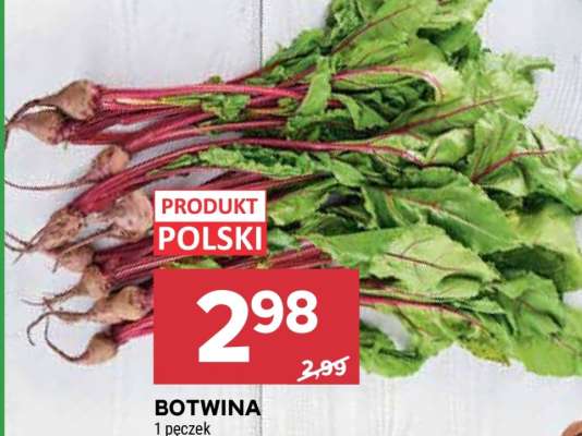 Botwina