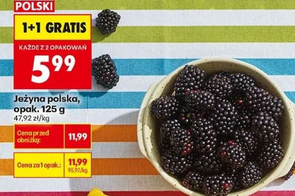 Jeżyna polska, opak. 125 g