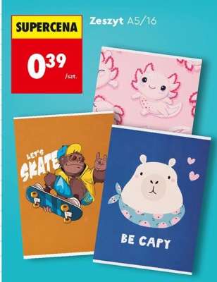Zeszyt A5/16