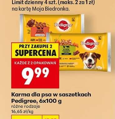 Karma dla psa w saszetkach Pedigree, 6x100 g