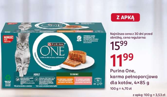 PURINA ONE