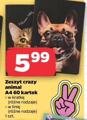 Zeszyt crazy animal A4 60 kartek