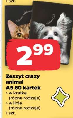 Zeszyt crazy animal A5 60 kartek