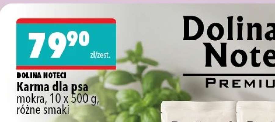 Dolina Noteci