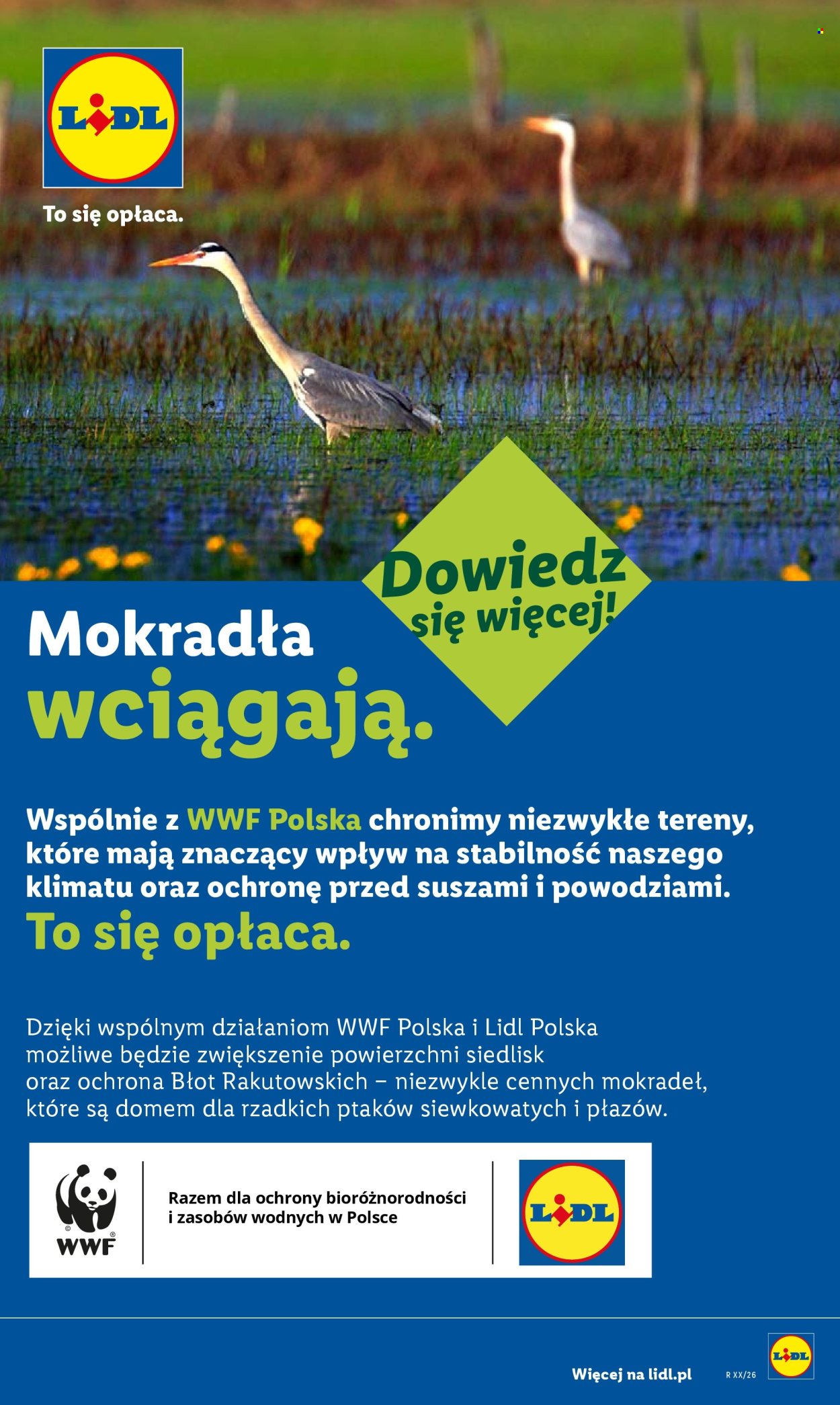 Gazetka Lidl - 20.07.2026 - 22.07.2026. Strona 101