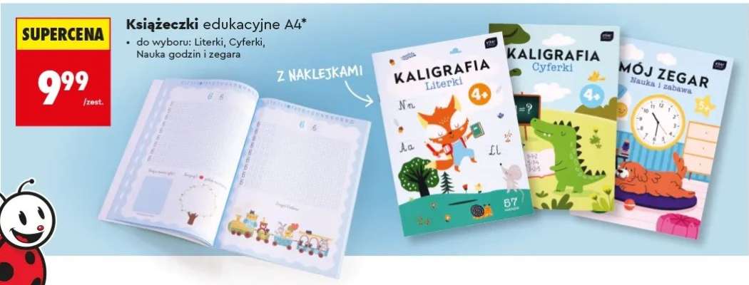 Książeczki edukacyjne A4