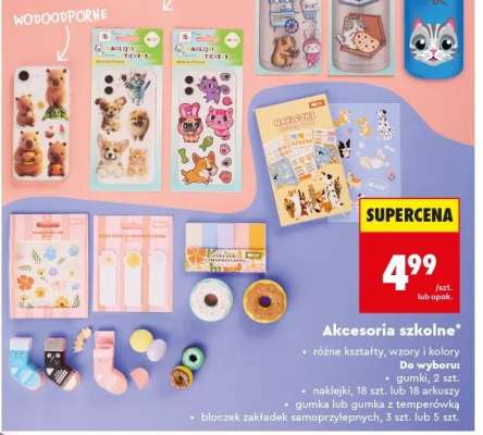 Akcesoria szkolne