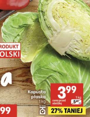 Kapusta płaska