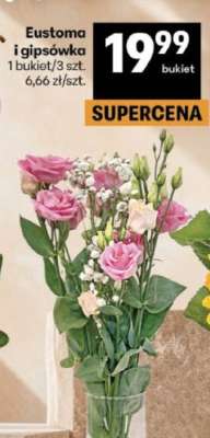 Eustoma i gipsówka