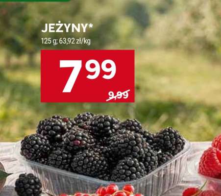 Jeżyny