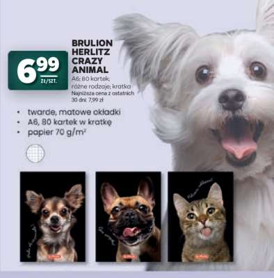 Brulion Herlitz Crazy Animal