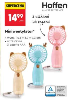 Miniwentylator