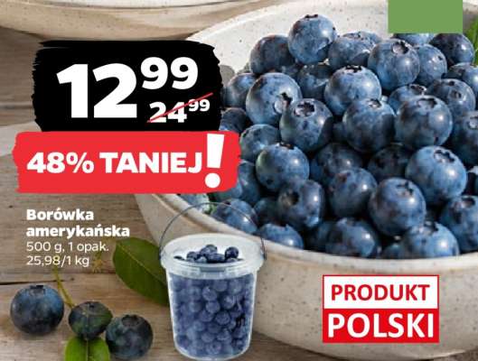 Borówka amerykańska