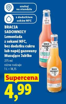 BRACIA SADOWNICY