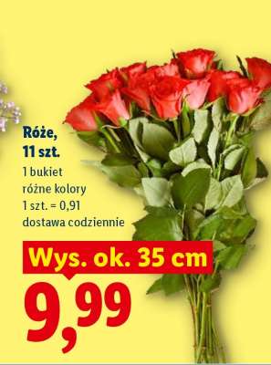 Róże, 11 szt.