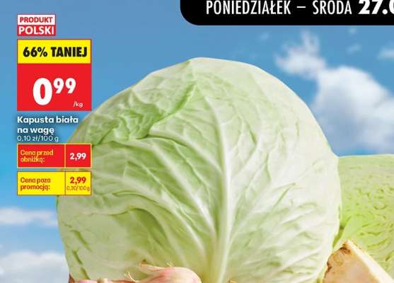 Kapusta biała na wagę