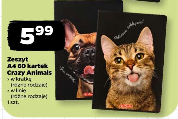 Zeszyt A4 60 kartek Crazy Animals
