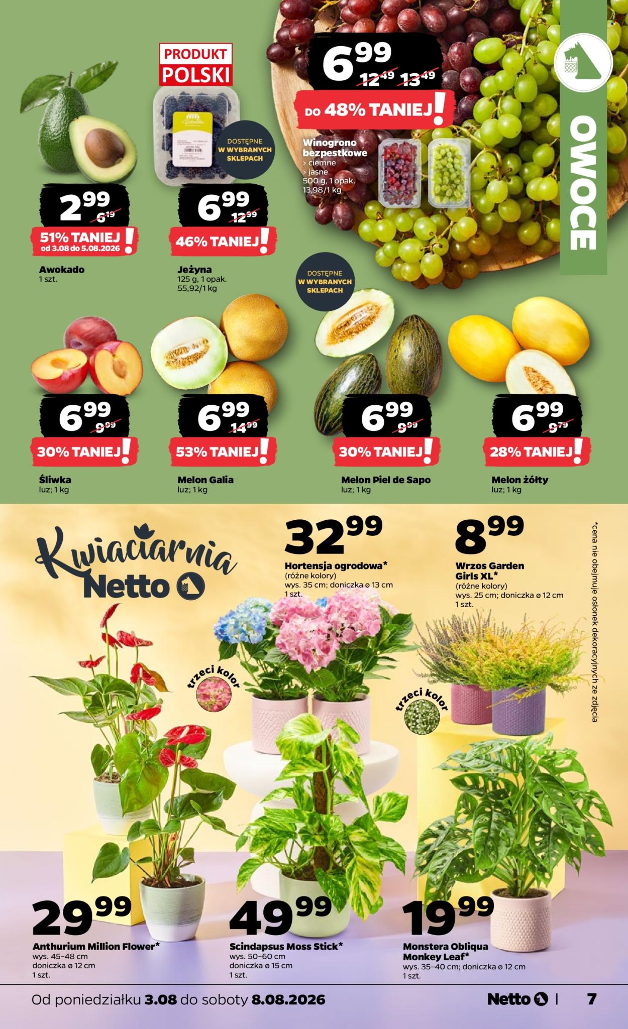 Gazetka Netto - 3.08.2026 - 8.08.2026. Strona 7