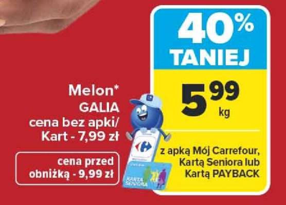 Melon galia