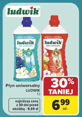 Płyn uniwersalny Ludwik