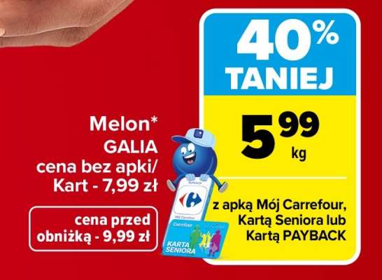 Melon galia