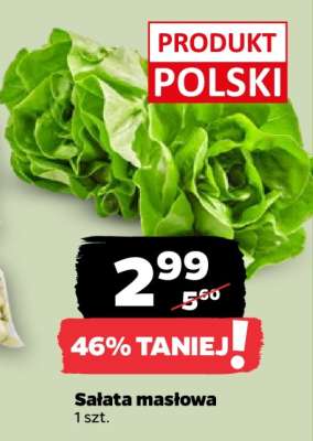 Sałata masłowa