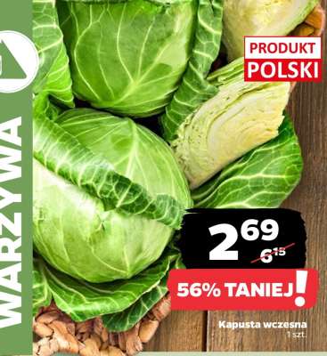 Kapusta wczesna