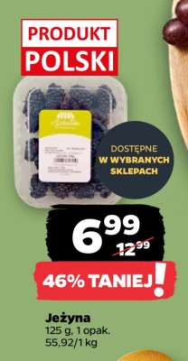 Jeżyna