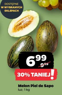 MELON PIEL DE SAPO