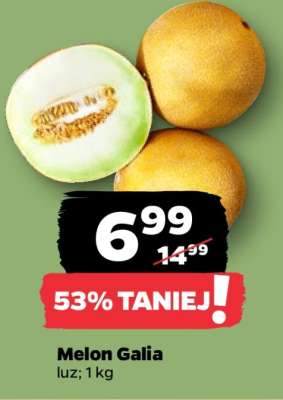 Melon galia
