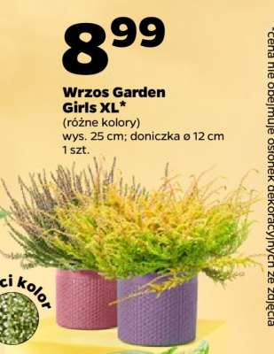 Wrzos Garden Girls XL