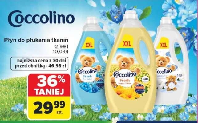 COCCOLINO