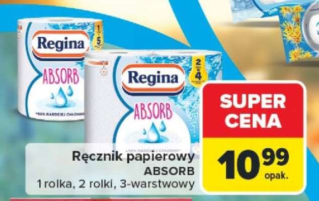 REGINA ABSORB
