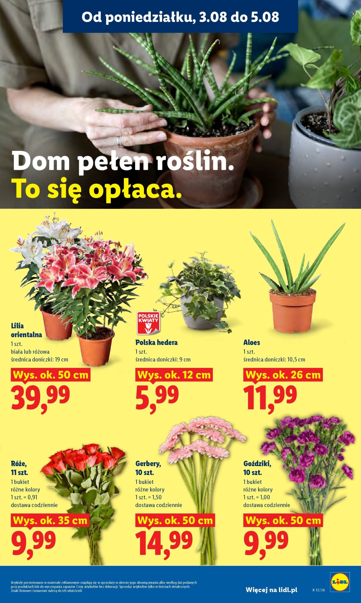 Gazetka Lidl - 3.08.2026 - 5.08.2026. Strona 91