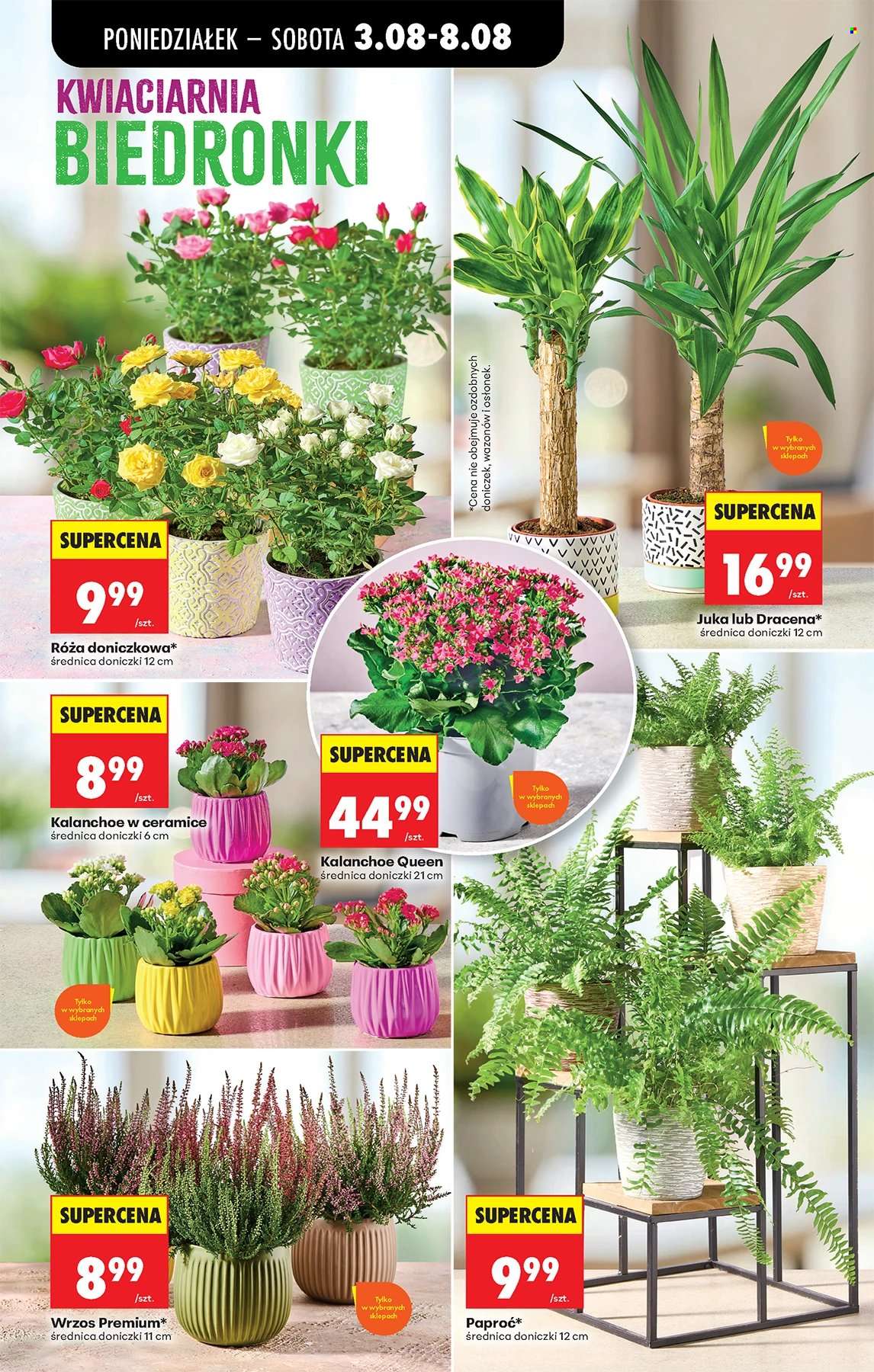 Gazetka Biedronka - 3.08.2026 - 8.08.2026. Strona 65