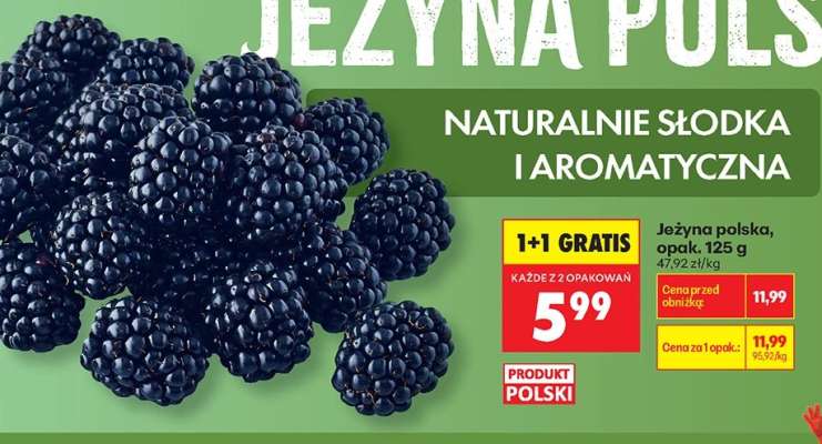 Jeżyna polska, opak. 125 g