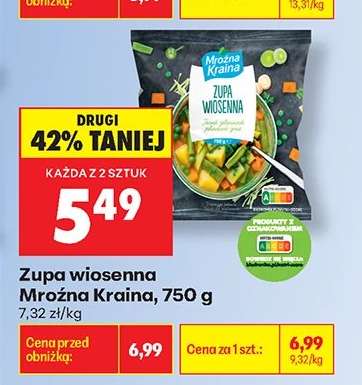 Zupa wiosenna Mroźna Kraina, 750 g
