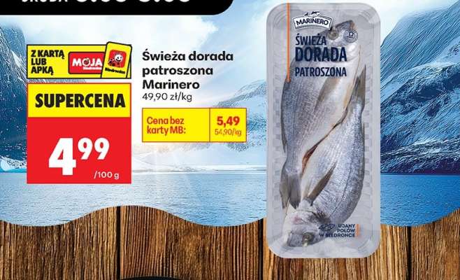 Świeża dorada patroszona Marinero