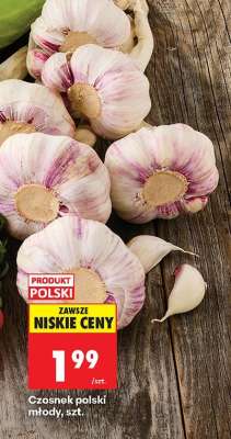 Czosnek polski młody, szt.